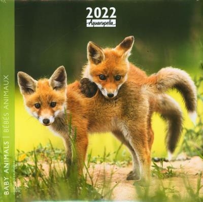Calendrier 2022 - Bébés animaux | 