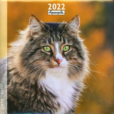 Calendrier 2022 - Chats | 