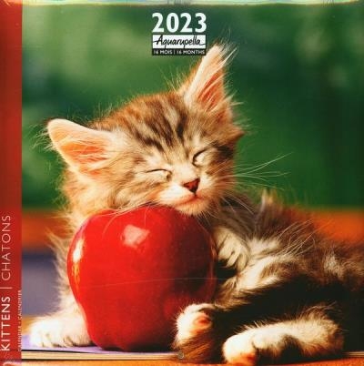 Chatons 2023 - Calendrier | Collectif