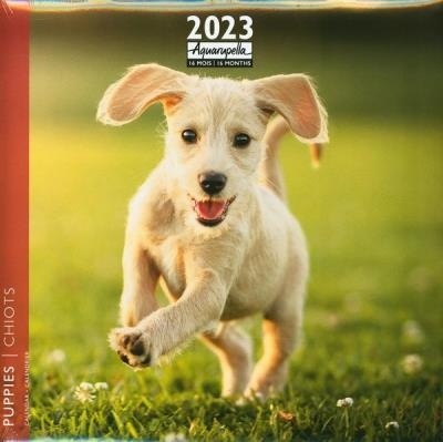 Chiots 2023 - Calendrier | Collectif