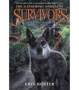 Survivors: The gathering darkness 2: dead of night | Hunter Erin