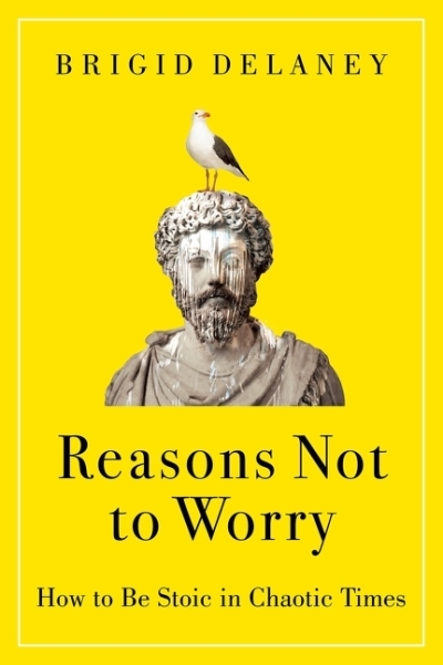 Reasons Not to Worry : How to Be Stoic in Chaotic Times | Delaney, Brigid (Auteur)