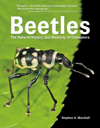 Beetles : The Natural History and Diversity of Coleoptera | Marshall, Stephen