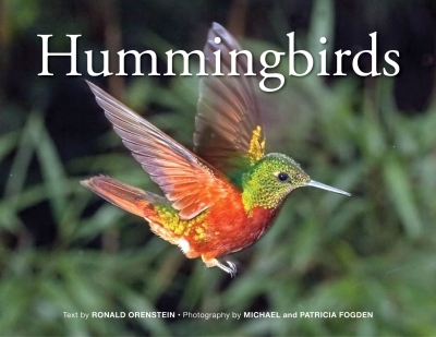 Hummingbirds | Orenstein, Ronald
