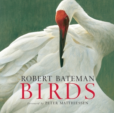 Birds | Bateman, Robert