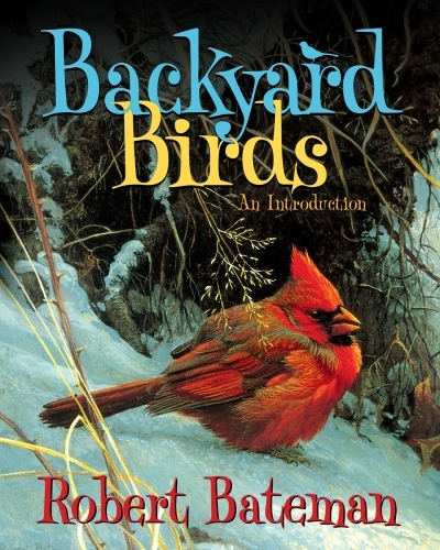 Backyard Birds : An Introduction | Bateman, Robert