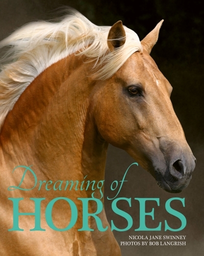 Dreaming of Horses | Swinney, Nicola
