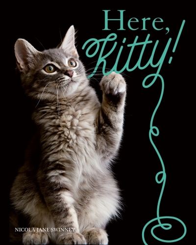 Here, Kitty! | Swinney, Nicola