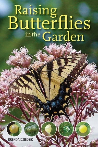 Raising Butterflies in the Garden | Dziedzic, Brenda