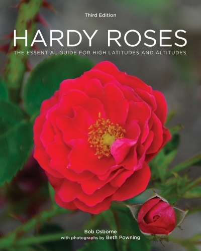 Hardy Roses : The Essential Guide for High Latitudes and Altitudes | Osborne, Bob