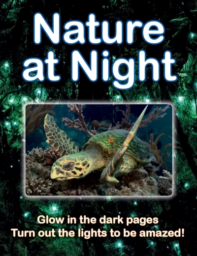 Nature at Night | Regan, Lisa