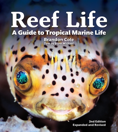 Reef Life : A Guide to Tropical Marine Life | Cole, Brandon