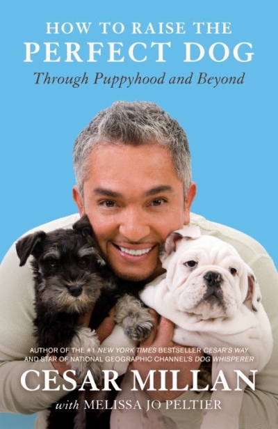 How to Raise the Perfect Dog : Through Puppyhood and Beyond | Millan, Cesar