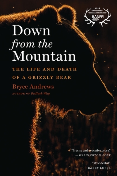 Down from the Mountain : The Life and Death of a Grizzly Bear | Andrews, Bryce
