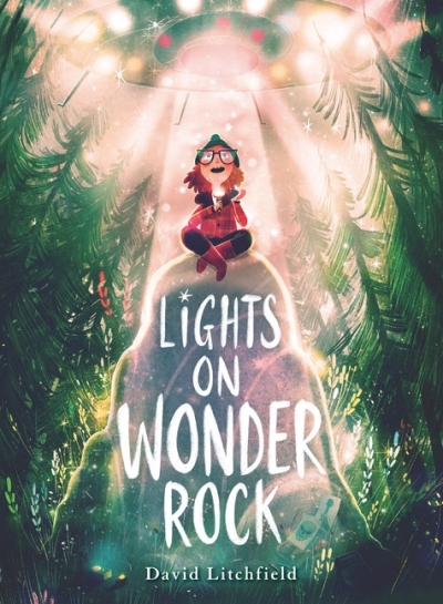 Lights On Wonder Rock | Litchfield, David