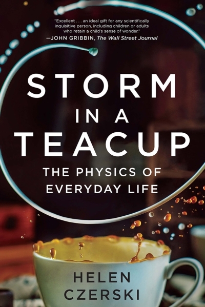Storm in a Teacup : The Physics of Everyday Life | Czerski, Helen