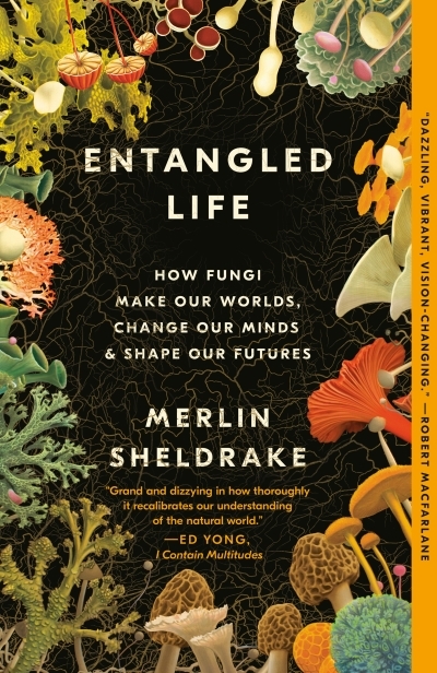 Entangled Life : How Fungi Make Our Worlds, Change Our Minds &amp; Shape Our Futures | Sheldrake, Merlin
