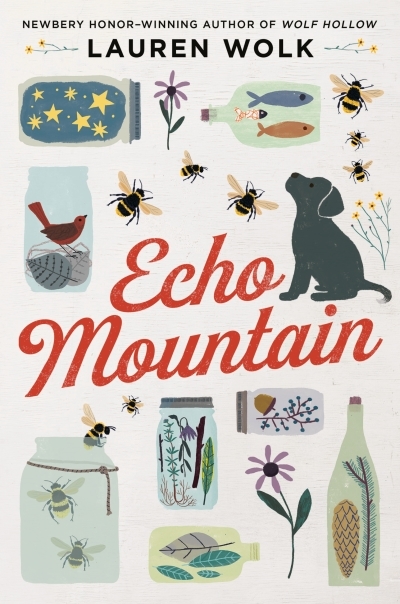 Echo Mountain | Wolk, Lauren