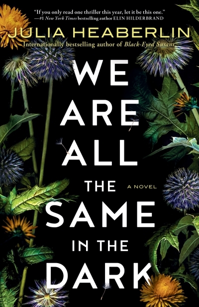 We Are All the Same in the Dark : A Novel | Heaberlin, Julia