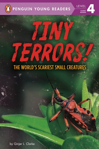 Tiny Terrors! : The World's Scariest Small Creatures | Clarke, Ginjer L.