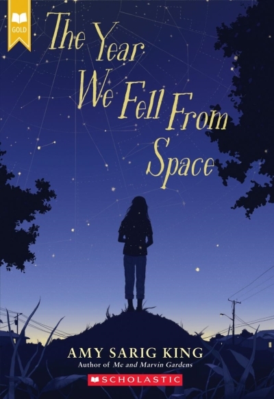The Year We Fell From Space (Scholastic Gold) | King, Amy Sarig