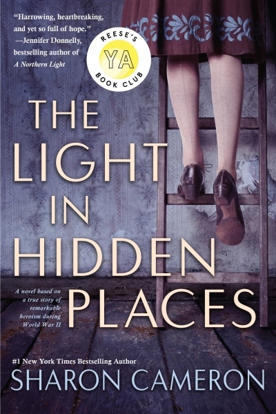 The Light in Hidden Places | Cameron, Sharon