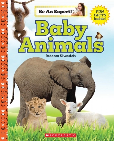 Baby Animals (Be an Expert!) | Silverstein, Rebecca