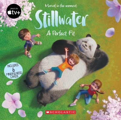 A Perfect Fit - Stillwater  | Rusu, Meredith