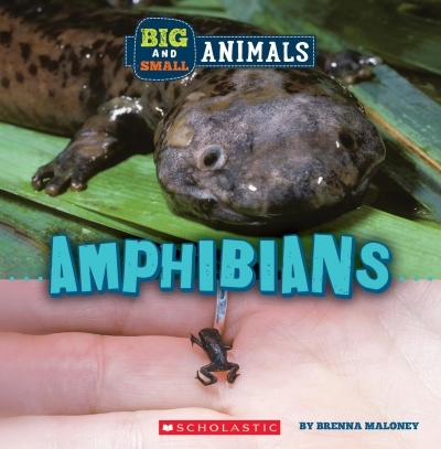 Amphibians (Wild World: Big and Small Animals) | Maloney, Brenna