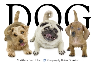 Dog | Van Fleet, Matthew (Auteur)