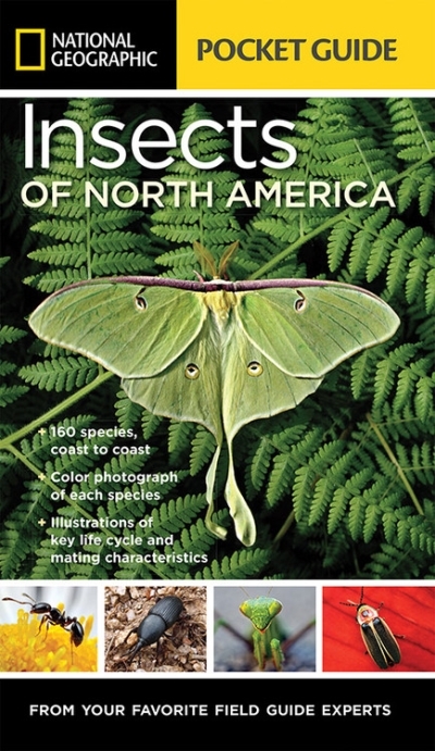 National Geographic Pocket Guide to Insects of North America | Evans, Arthur V.