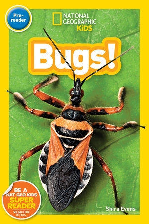 National Geographic Kids Readers -Bugs (Pre-reader) | SHIRA EVANS