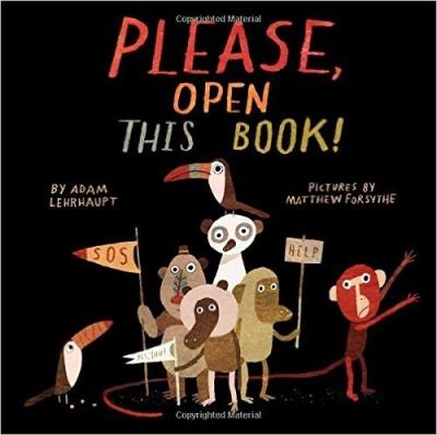 Please, Open This Book! | Lehrhaupt, Adam; Forsythe, Matthew