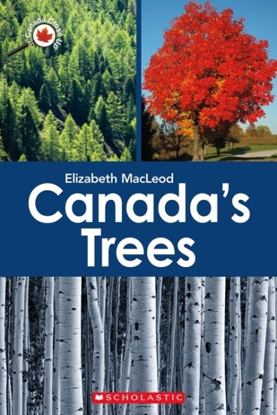 Canada Close Up: Canada's Trees | MacLeod, Elizabeth (Auteur)