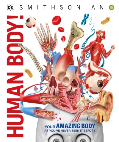 Human Body! | 