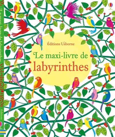 maxi-livre de labyrinthes (Le) | Robson, Kirsteen