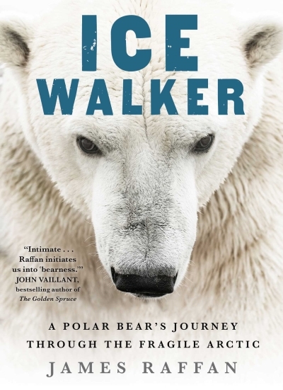 Ice Walker : A Polar Bear's Journey through the Fragile Arctic | Raffan, James