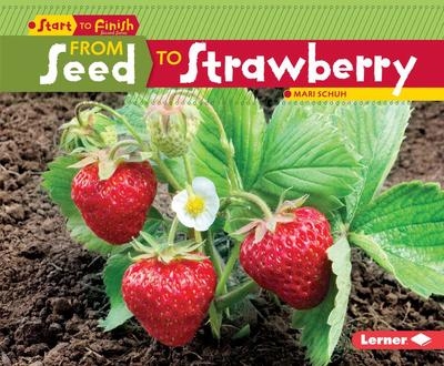 PB From Seed to Strawberry | Mari Schuh