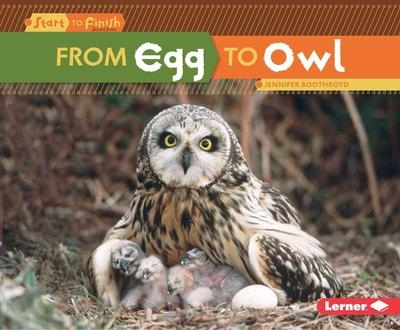 From Egg to Owl | Jennifer Boothroyd