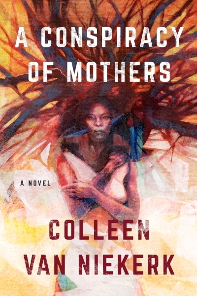 A Conspiracy of Mothers | Colleen van Niekerk 