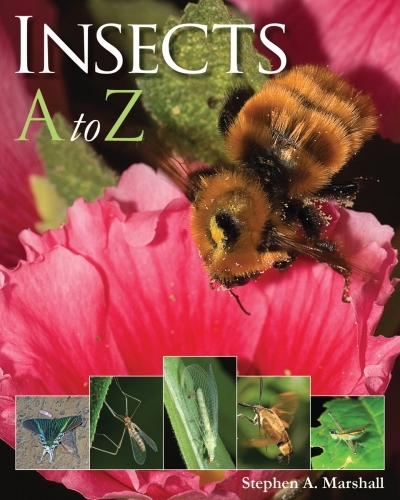 Insects A to Z | Marshall, Stephen
