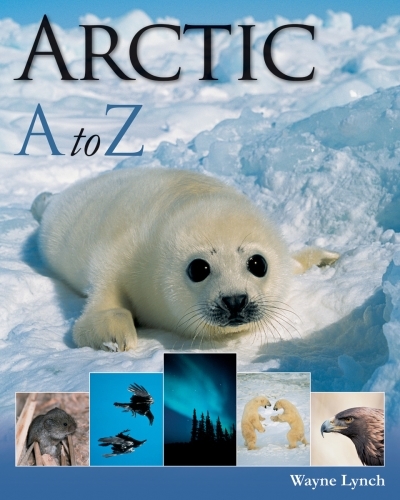 Arctic A to Z | Lynch, Wayne