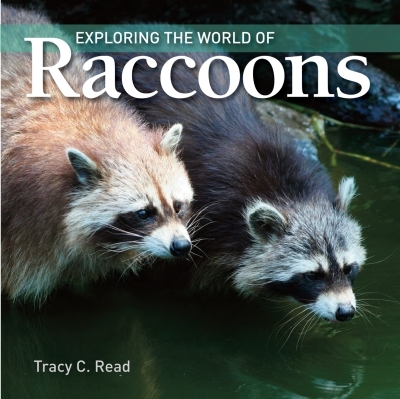 Exploring the World of Raccoons | Read, Tracy
