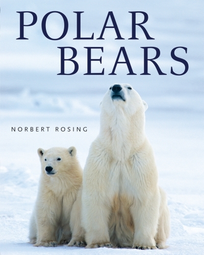 Polar Bears | Rosing, Norbert