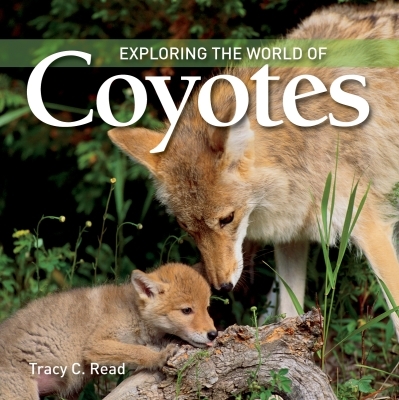 Exploring the World of Coyotes | Read, Tracy
