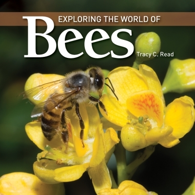 Exploring the World of Bees | Read, Tracy