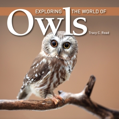 Exploring the World of Owls | Read, Tracy