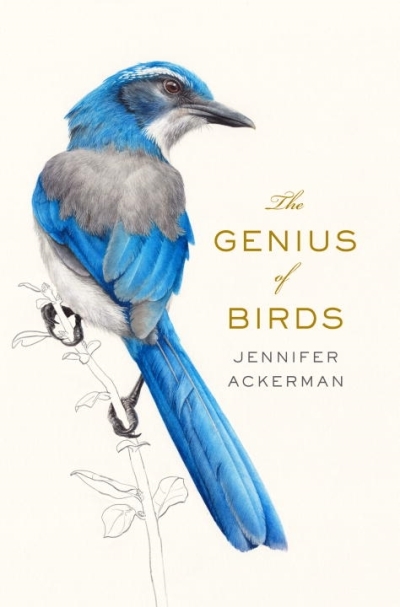 The Genius of Birds | Ackerman, Jennifer