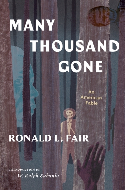 Many Thousand Gone: An American Fable | Fair, Ronald L. (Auteur)