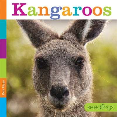 PB Kangaroo | Kate Riggs